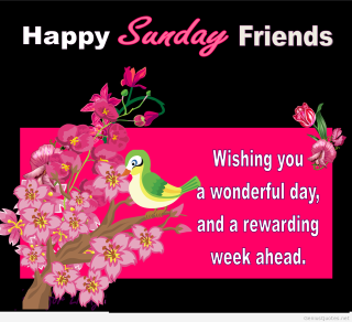 Happy sunday friend bird branch - free holidays wallpaper for tablet