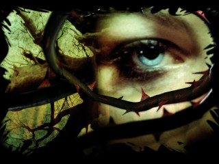 Woman eye scissors barbed wire - a womans eye free wallpaper