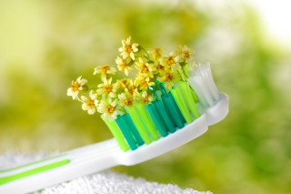 Toothbrush yellow flowers towel green - a toothbrush free wallpaper