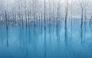 Blue lake snowy trees winter - a blue lake free wallpaper