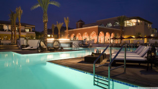 Pool lounge chairs palm tree - the building free wallpaper