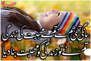 Woman head hands rainbow hat - fathi hassan free wallpaper