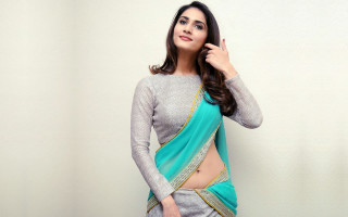 Woman sari pose hand hip - color free wallpaper