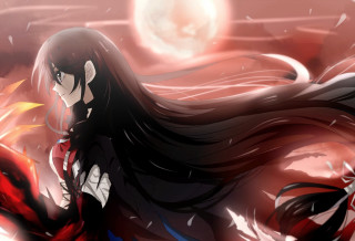 Woman long hair red cape - the rain free wallpaper