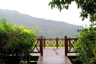 Wooden bridge mountain background flowers - a wooden bridge free wallpaper