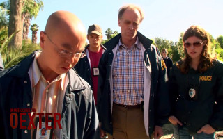 Man jacket glasses group people - palm tree free wallpaper