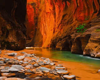 River canyon rocks water cliff - a green tree free wallpaper