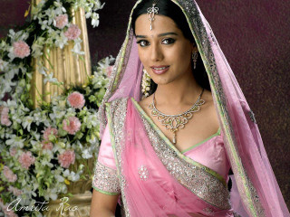 Pink sari floral vase daisy - a pink sari free wallpaper