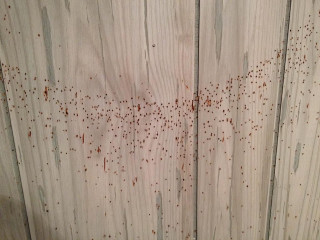 Bathroom toilet wooden redpaint blackseat - red paint free wallpaper