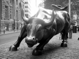 Bull statue city square blackwhite - institutional free wallpaper