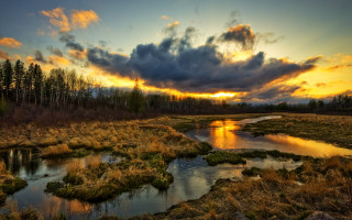 Sunset marsh stream trees background - a small stream free wallpaper