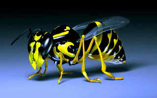 Yellow black bee striped body - 3 d model free wallpaper