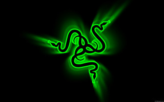 Green snake glowing dark black - a green glow free wallpaper
