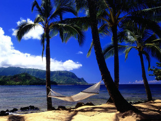 Hammock palm trees beach mountain - two palm tree free wallpaper