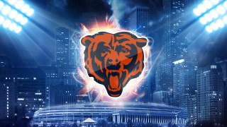 Bear head stadium background lights - a stadium in the background free wallpaper