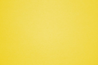 Yellow background black white cats - the bottom of the picture free wallpaper for desktop