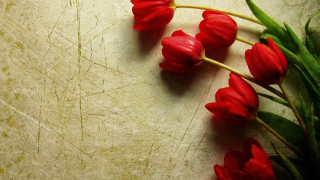 Red flowers white surface gothic - faded free wallpaper