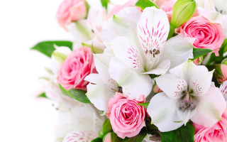 Bouquet pink white flowers centerpieces - ammi phillips free wallpaper