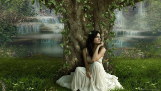 Woman sitting under tree field - dreamlike free wallpaper