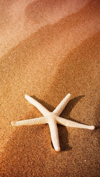 Starfish beach sand sunset sunrise - free beach wallpaper for mobile