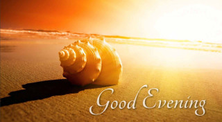 Shell beach sunshine evening message - evening free wallpaper