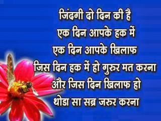 Pink flower bee quote image - that saysi free wallpaper