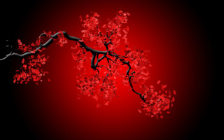 Branch red leaves black background - red leaf free wallpaper