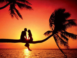 Couple palm tree ocean sunset - a couple sitting free wallpaper