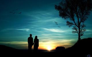 Couple tree sunset birds flying 3 - a couple standing next free wallpaper