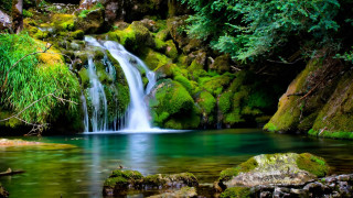 Waterfall forest mossy rocks trees 4 - mossy rock and trees free wallpaper