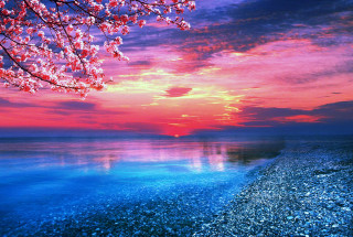 Sunset water tree pink sky - impressionism free wallpaper