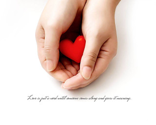 Person holding red heart quote - a quote below free wallpaper