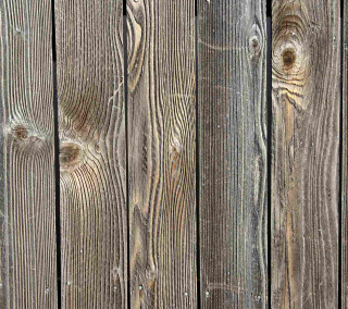 Bird perched wooden fence post - the fence free wallpaper