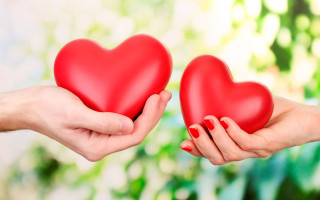 Hands heart green background blurry - anne dunn free wallpaper