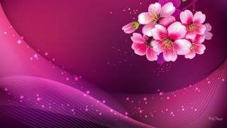 Pink flower purple background wave 2 - cheng shifa free wallpaper