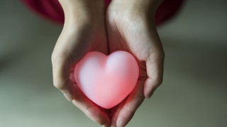 Person holding heart pink glow - their chest free wallpaper