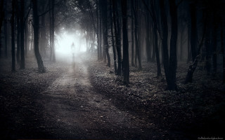 Person walking path woods night - a foggy day free wallpaper