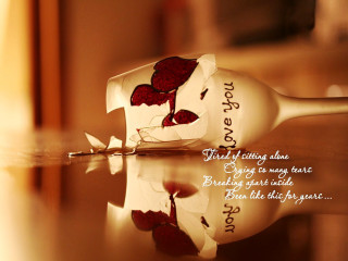 Wine rose quote art photography - there free wallpaper