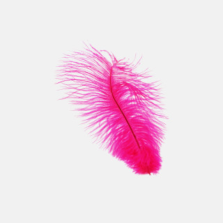 Pink feather flying air white - figuration libre free wallpaper for tablet