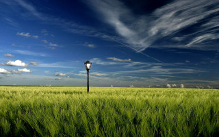 Lamp post field blue sky - arthur b. carles free wallpaper