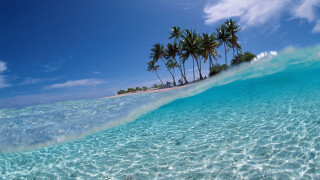 Wave beach palm trees sky - a white sand beach free wallpaper