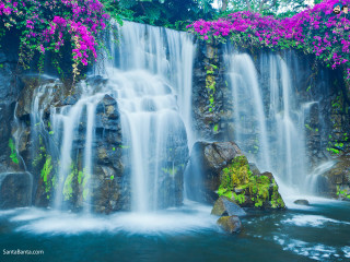 Waterfall purple flowers rock water 4 - arthur quartley free wallpaper