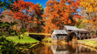 Small wooden building river woods - fall foliage free wallpaper