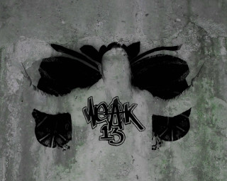 Graffiti bird walk 25 wings - album cover free wallpaper