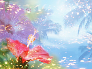 Flower palm trees christmas night - chiho aoshima free wallpaper