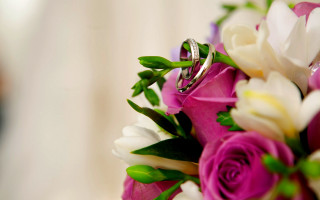 Wedding ring bouquet flowers greenery - bracha l. ettinger free wallpaper for desktop
