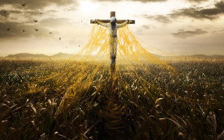 Cross field sky birds flying - in a field free wallpaper