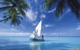 Sailboat man ocean palm trees 2 - a sailboat free wallpaper