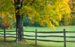 Wooden fence autumn leaves bench - asher brown durand free wallpaper
