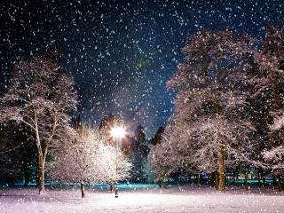 Snowy night park trees lights 3 - all free wallpaper